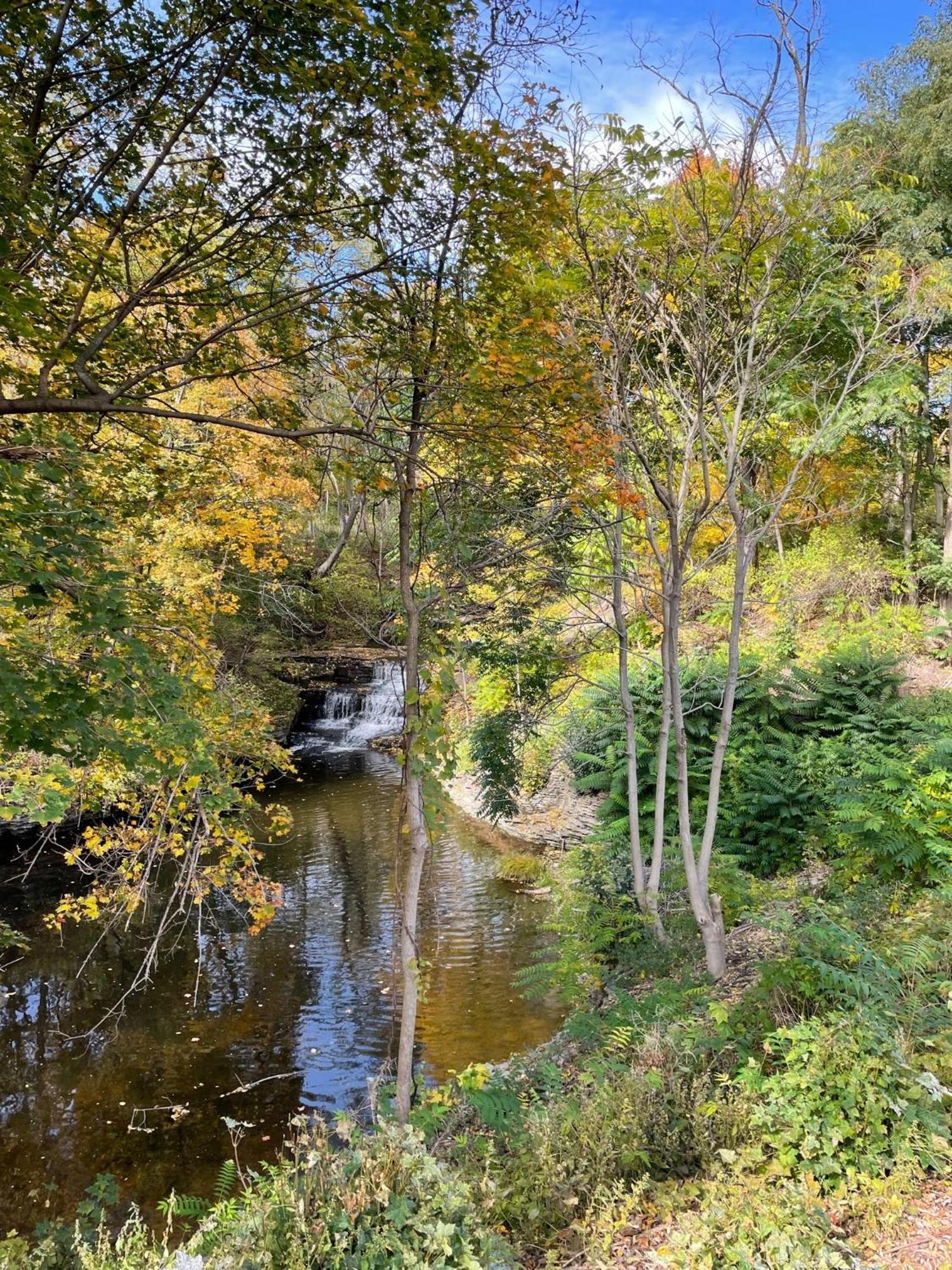 The Fallsview At Burdett Falls Pokoj fotografie